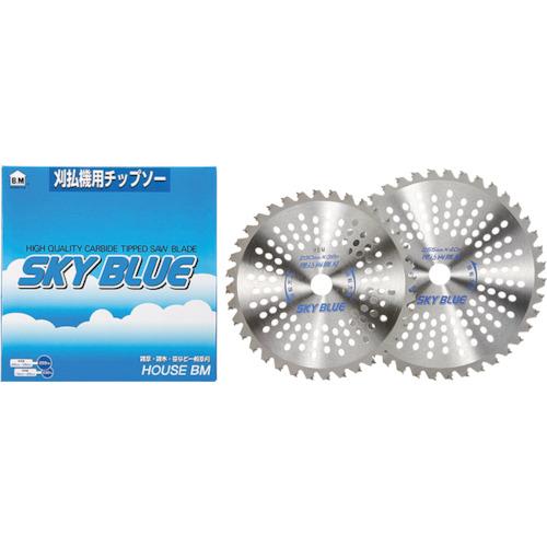 nEXB.M `bv\[uSKY BLUEv SB-255