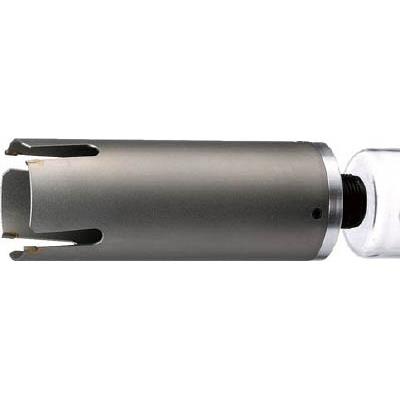 ゴッホ 星月夜 ハウスB.M サイディングウッドコアボディ100mm SWB100