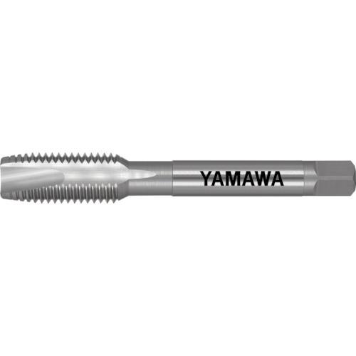 } |Cg^bv PO P3 1/2W12 PO-1/2