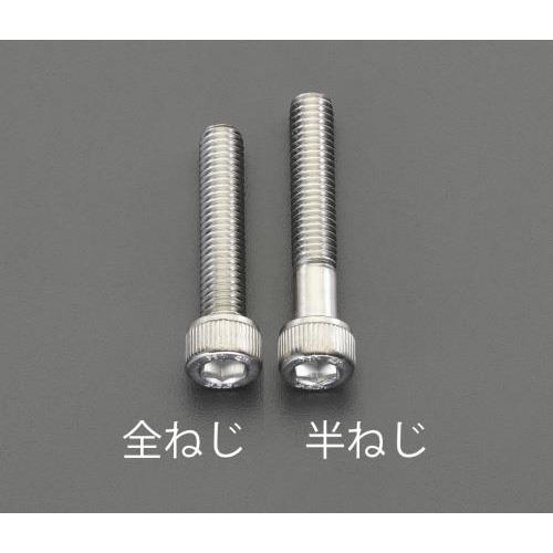 m12×40mmmA2-100nZpt{g(XeX/2{)