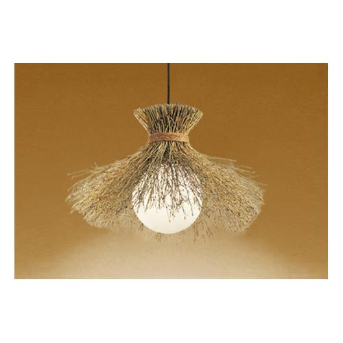 �a���y���_���g���C�g