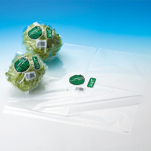 ���^�X �V�[�g ��450 ���W 200����