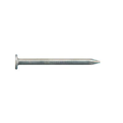 |PbglC PK1 XM