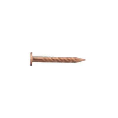 |PbglC PKS21 BM
