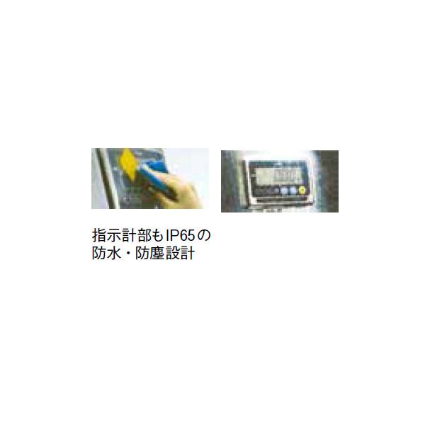 188016_02.jpg