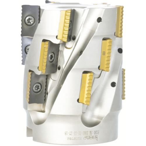 CXJ Vbh~P290 Gh~ P290 EPW na40mm VNa40mm P290 EPW D40-4-250-W40-18