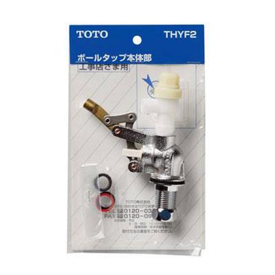 [^Np{[^bv{ THYF2
