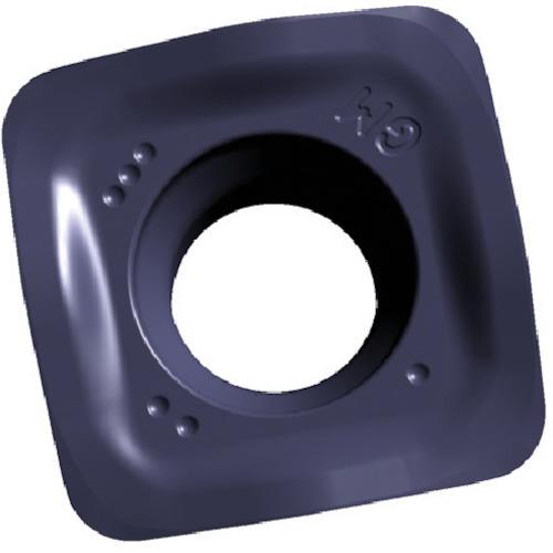 256289_01.jpg