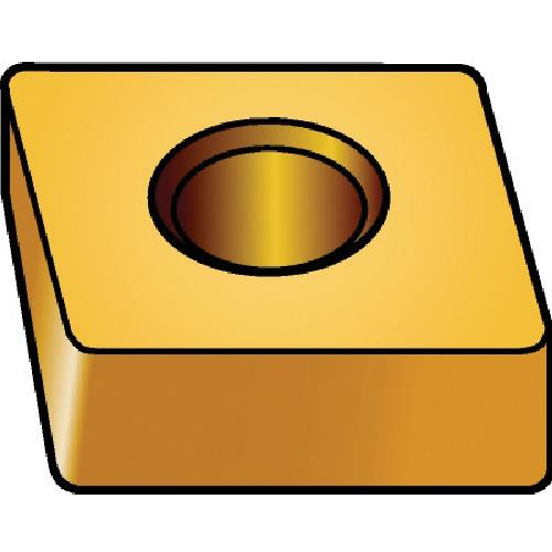 259340_01.jpg