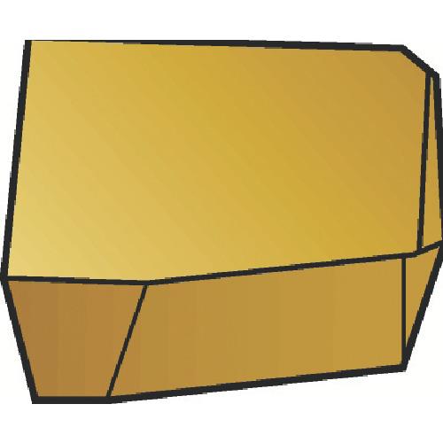 262854_01.jpg