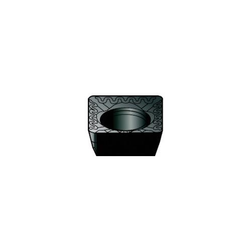 ThrbN tCXp`bv(350) 4040 SPMT 12 04 08-WL 4040