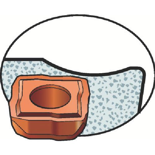 264700_01.jpg