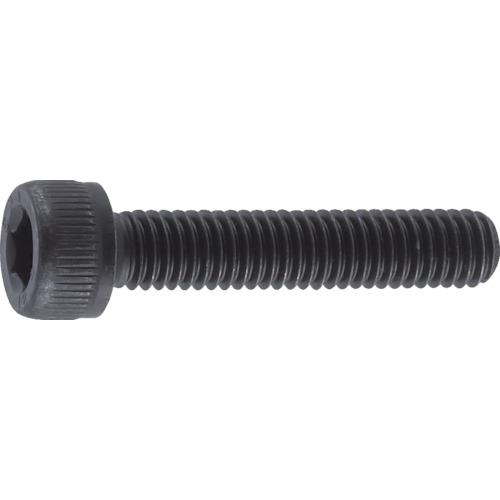 TRUSCO Zpt{g  SlW M6×6 40{ /Lbv{g(CAP) B30-0606