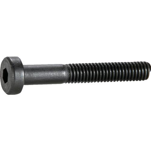 TRUSCO ᓪZpt{g  lW M8×40 5{ /Lbv{g(CAP) B081-0840