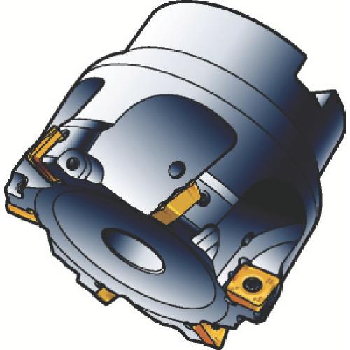 373539_01.jpg