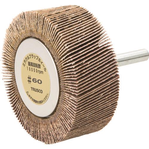 TRUSCO ~NtbvzC[ Oa60X25X6 5 60 60 MR6025 60