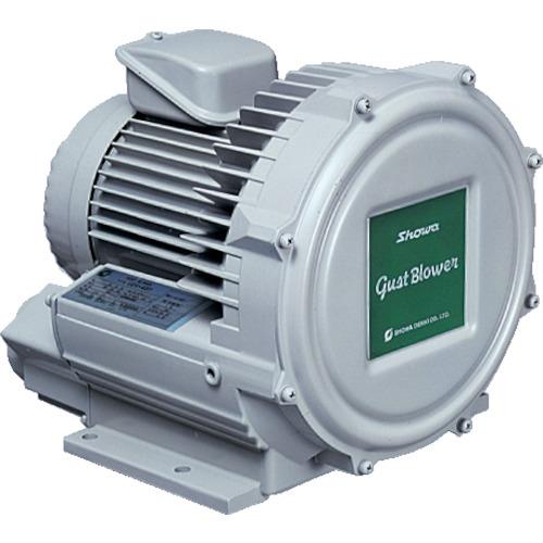 a d@ QV[YKXguAV[Y(0.75kW) U2V-70T