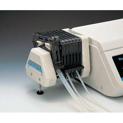 �}���`�`�����l���|���v�w�b�h