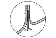 51251_02.jpg