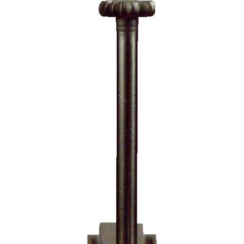 568819_01.jpg