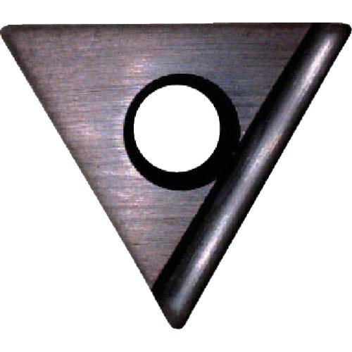 590489_01.jpg