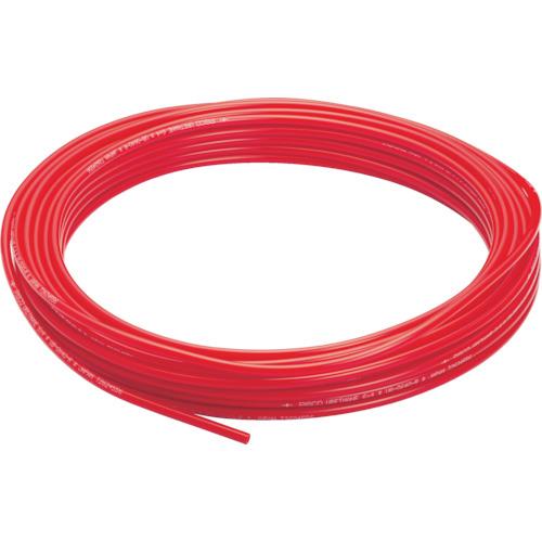 PISCO |E^`[u bh 6×4 100M UB0640-100-R
