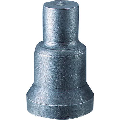 595508_01.jpg