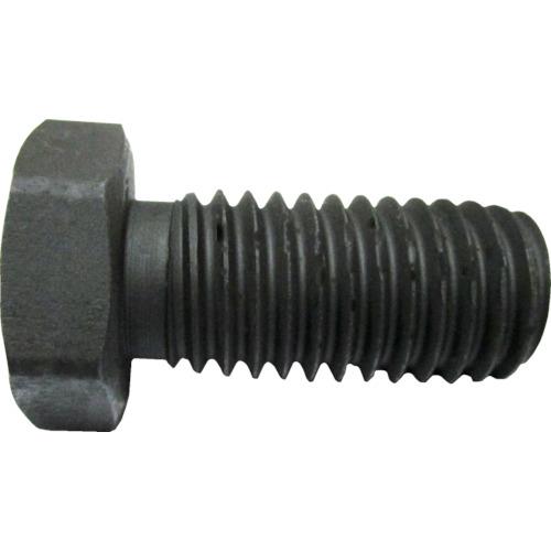610690_01.jpg