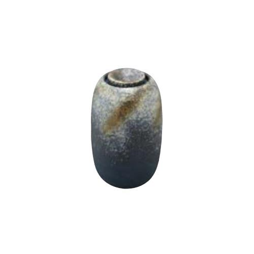 CeAՌA(p) EW20-S-3