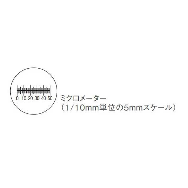 64901_02.jpg