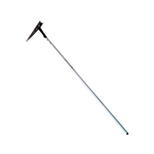 ߂yMUtOpz[ 833