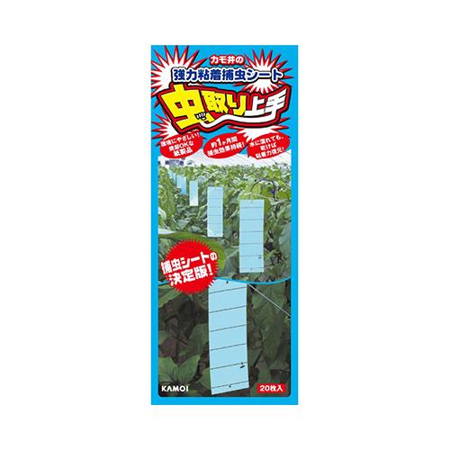  20