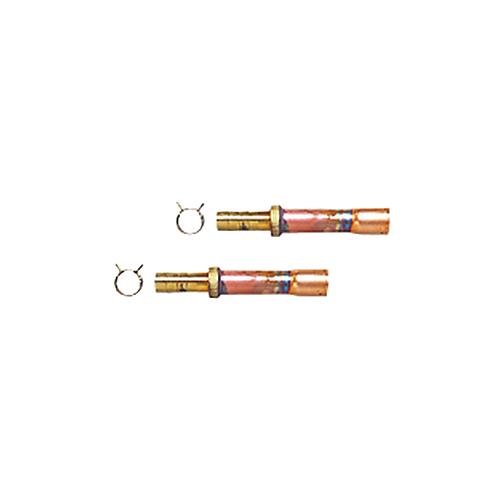 10A[tRiZbg(S) RH10-S