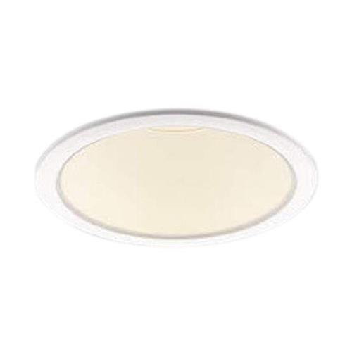 LED_ECg AD49552L