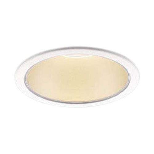 LED_ECg AD49656L