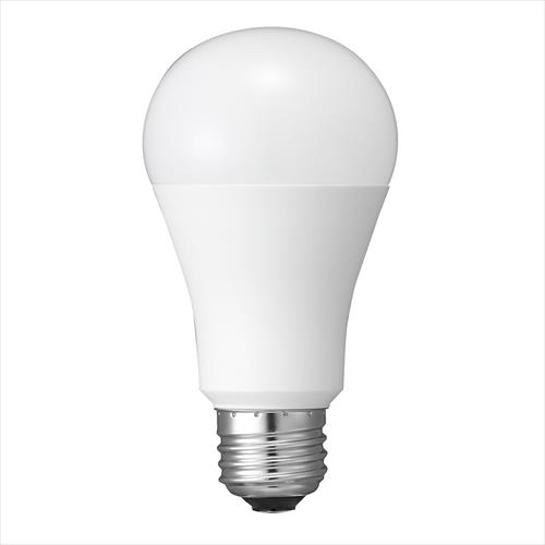 ʓd`LED 100W dF