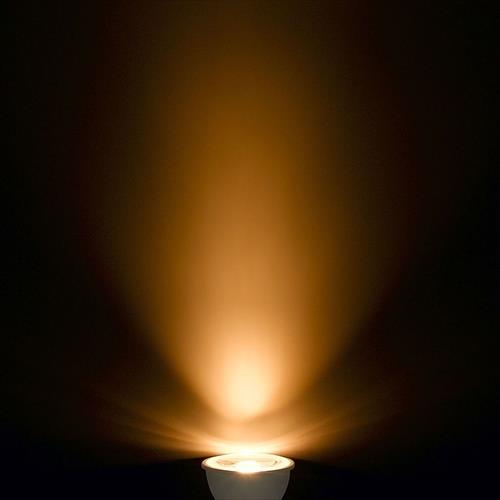 727773_02.jpg
