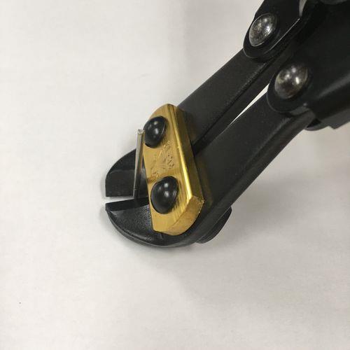 731957_03.jpg