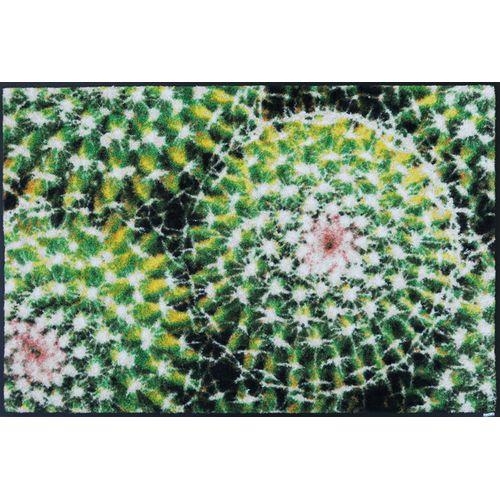 wash{dry 50×75