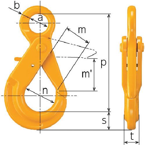 749556_02.jpg