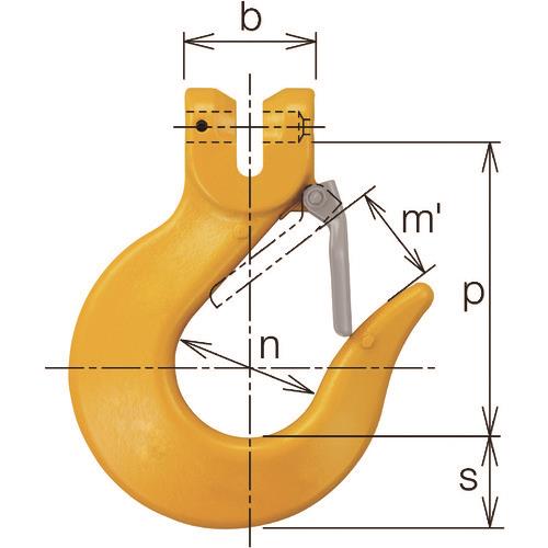 749557_01.jpg