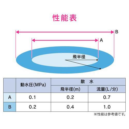 755557_03.jpg