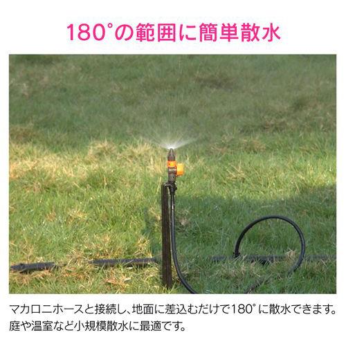 755558_02.jpg