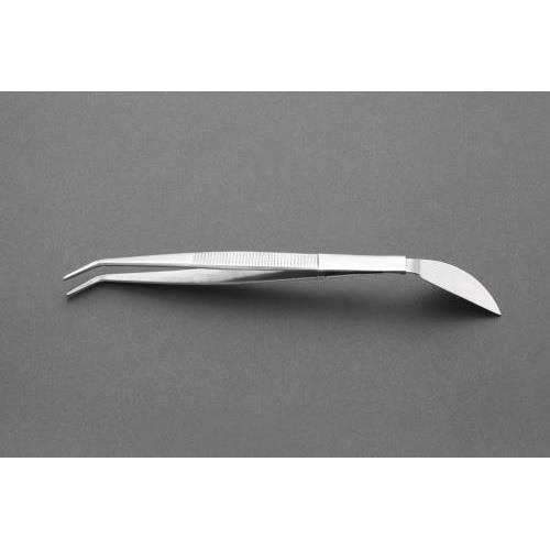 200mm wtsZbg