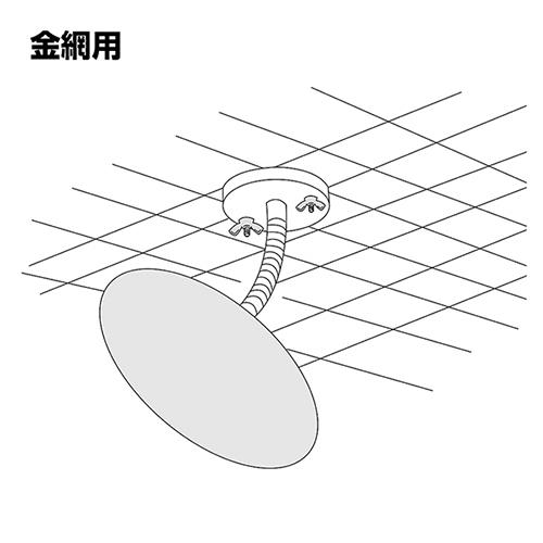 796031_03.jpg