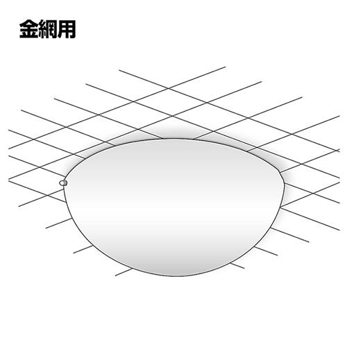 796038_03.jpg
