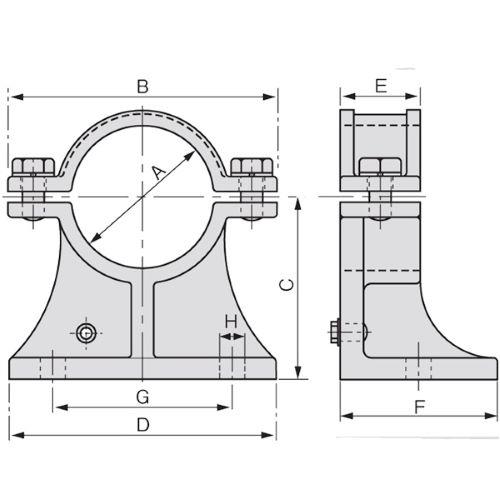 815786_02.jpg