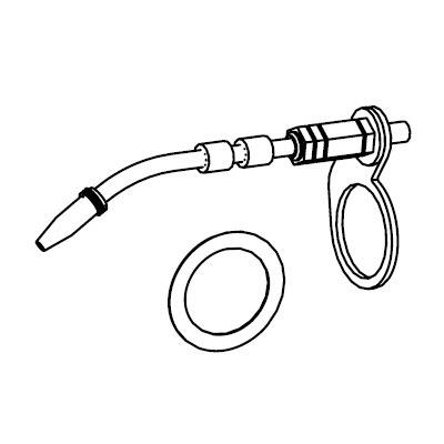 pCvgi B3567