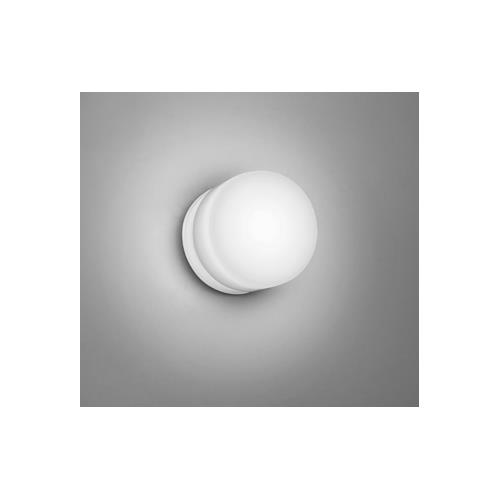 �o�X���[�����C�g