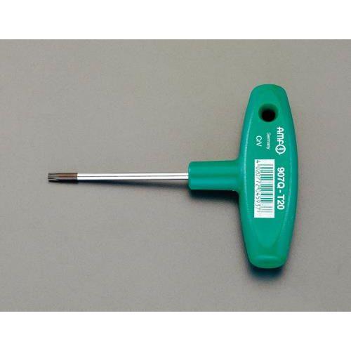 T20x100mm mTorxnT^`